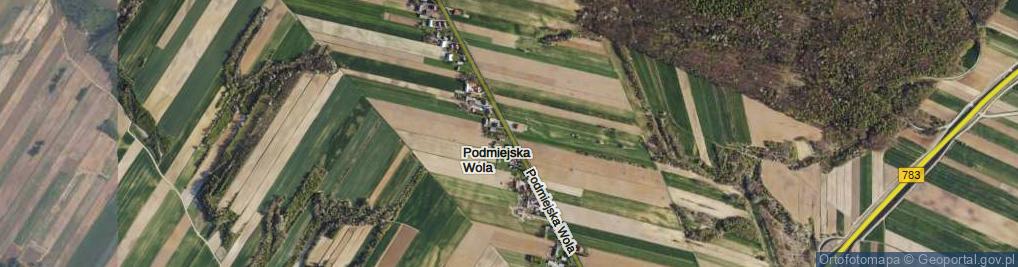 Zdjęcie satelitarne Podmiejska Wola ul.